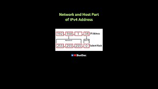 Network 006 - Network ID and Host ID in IPv4 Address