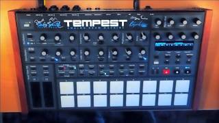 DSI Tempest Demo 8