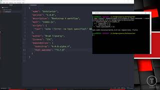 036 Install NPM Dependencies