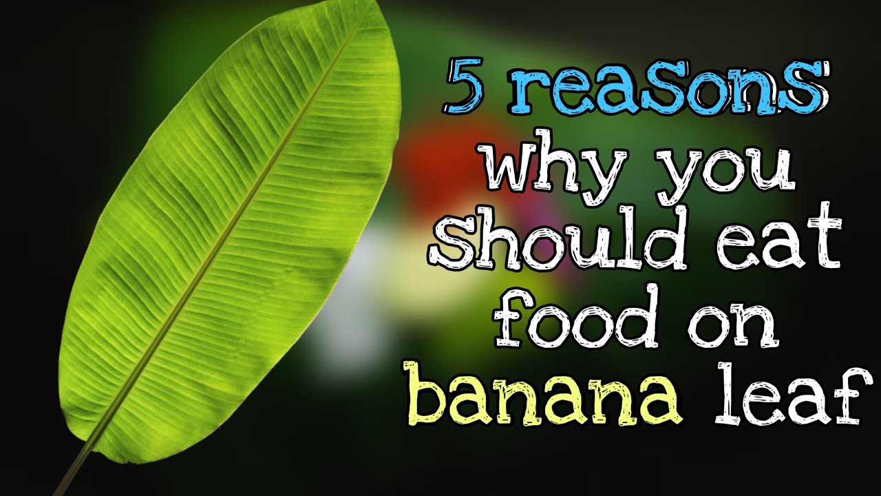 Science behind eating on BANANA leaf SCIENTIFIC FACT ABOUT BANANA LEAF SCIENCE BEHIND YouTube
