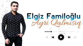 Elgiz Familoglu - Ayri Qalmisiq 2022 Resimi