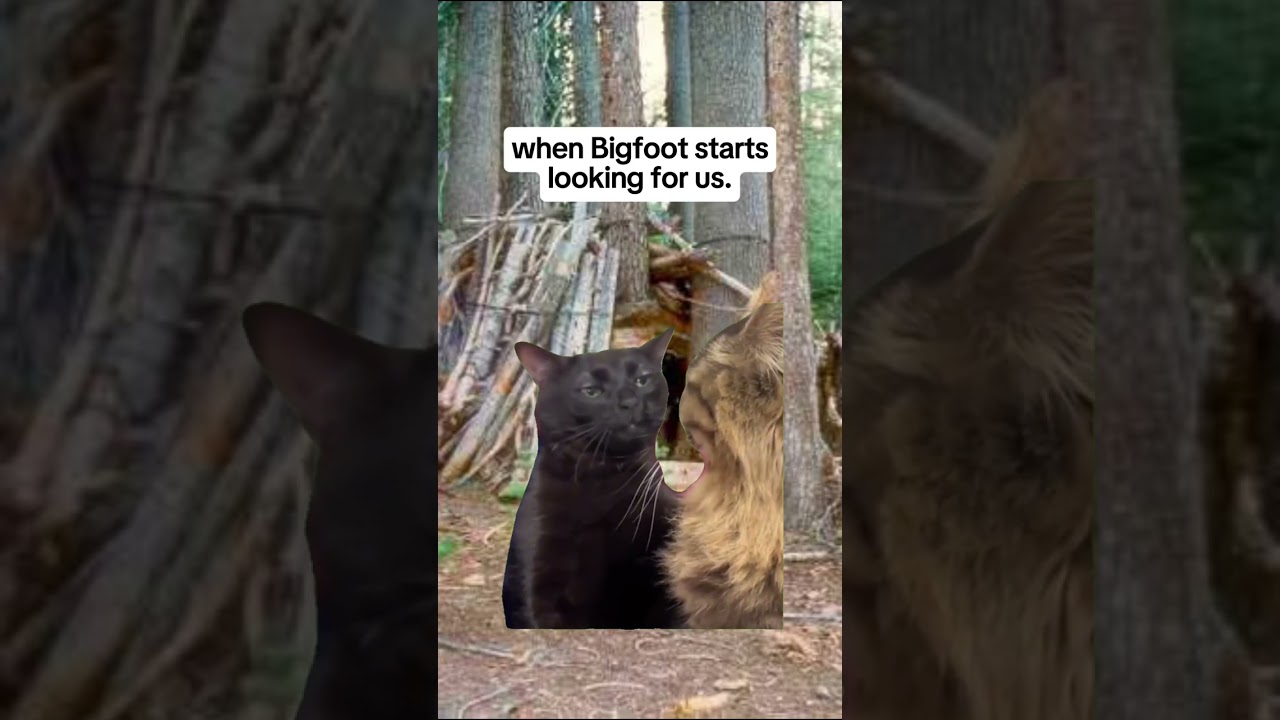 The tables have turned