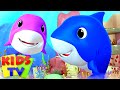 Laughing Baby Shark Song | Nursery Rhymes | Children's Music & Baby Songs | Junior Squad | Kids Tv