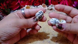 برج القوس اسأل الودع🐚صادق اي شي✍️بلاش بقا هنا تضيع عمرك انجز😔حبيب وسوء فهم خطير؟🙄هنا مستقبل✍️