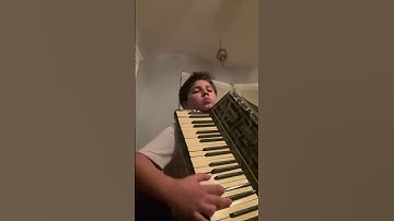 Video of me playing accordion 🪗 #music #beutifull