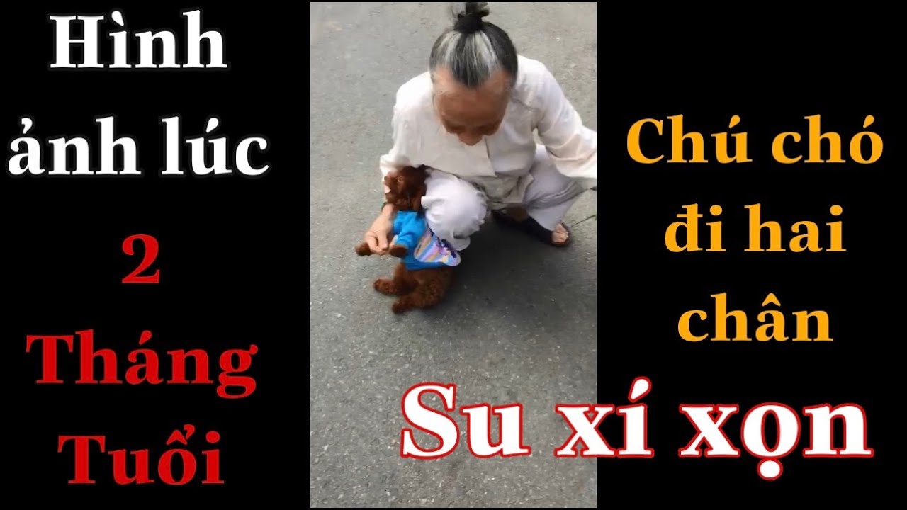 Clip Cũ | Những hình ảnh dễ thương lúc 2 Tháng Tuổi... - youtube