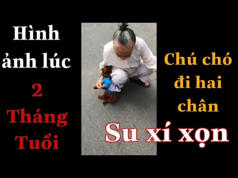 Video Clip Cũ | Những hình ảnh dễ thương lúc 2 Tháng Tuổi... - youtube