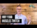 Why You Get Muscle Twitches and How To Get Rid Of Them!