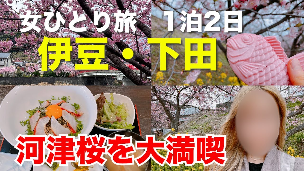 【女ひとり旅】1泊2日で伊豆の河津桜を大満喫