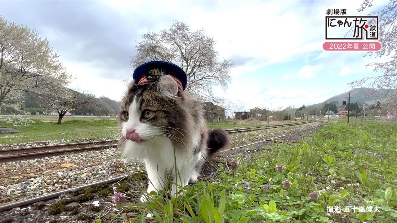 劇場版「にゃん旅鉄道」｜福島中央テレビ