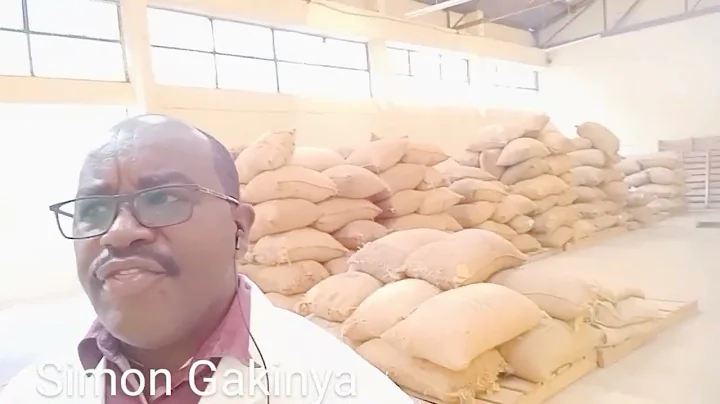 Coffee Parchment Processing at Coffee Dry Mills to Extract Green Beans