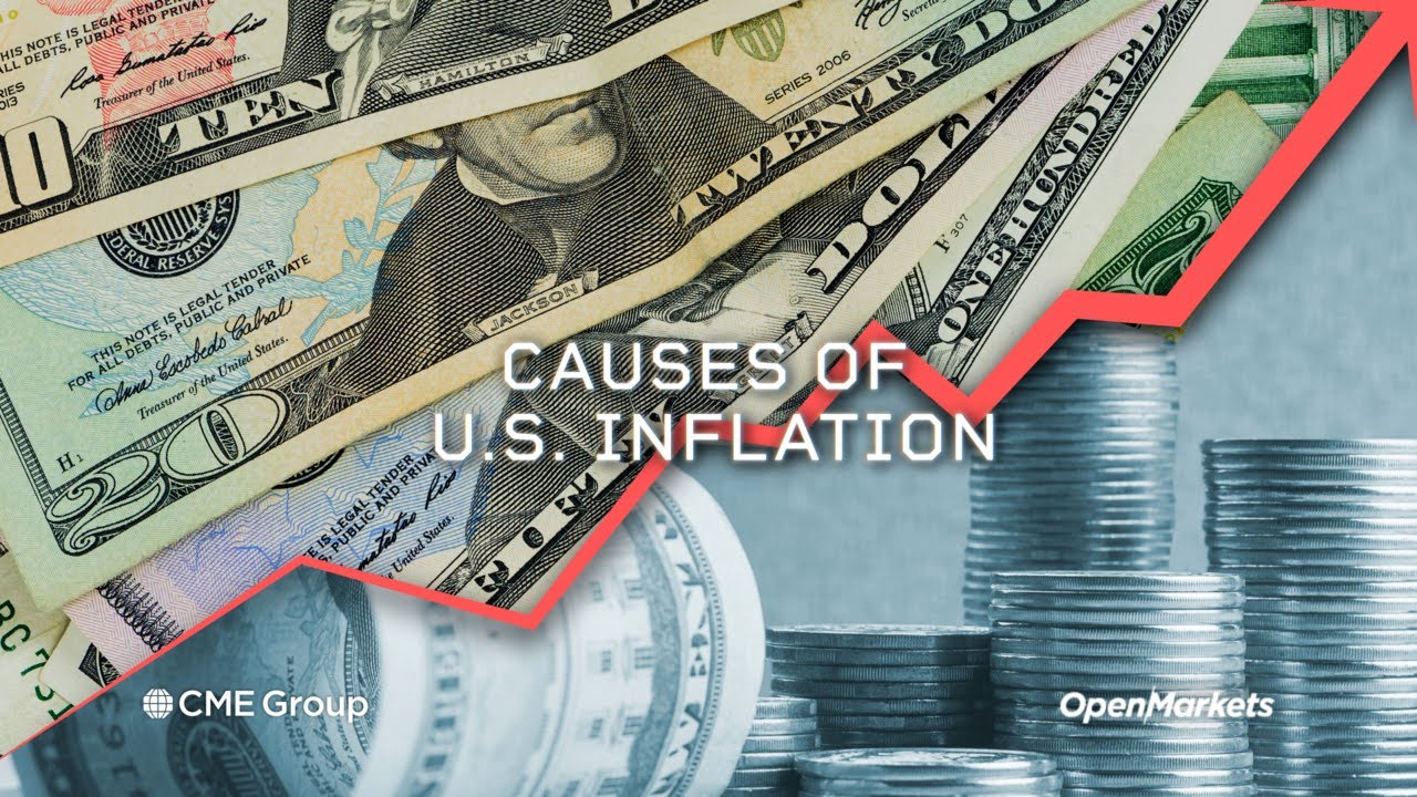 Economist Perspective: Causes of U.S. Inflation - YouTube