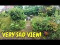 Surprising my Friends Grandad with a FREE Garden Makeover!