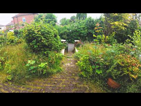 Surprising my Friends Grandad with a FREE Garden Makeover!