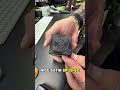 ustom SLS Stacker. The thing has a nice look in a custom design. Sits perfectly in your Mercedes.
