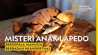 Kontroversi Anak Lapedo: Kawin Silang Manusia dan Neanderthal - National Geographic Indonesia