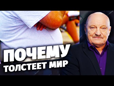 Почему толстеет мир