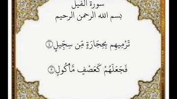 سورة الفيل الآيات من ٤-٥