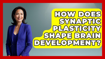 How Does Synaptic Plasticity Shape Brain Development? - Brain Development Hub