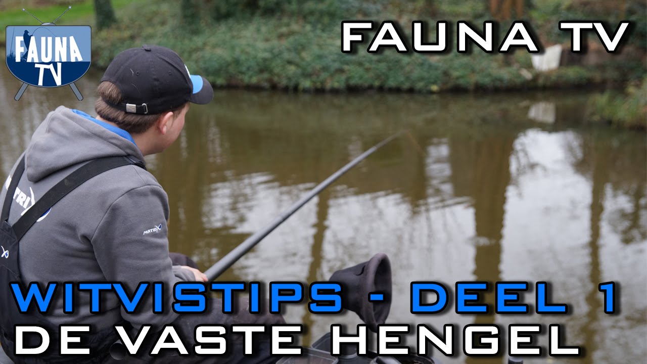 koper Harden noedels Fauna TV - Witvistips deel 1 (vaste hengel) - YouTube