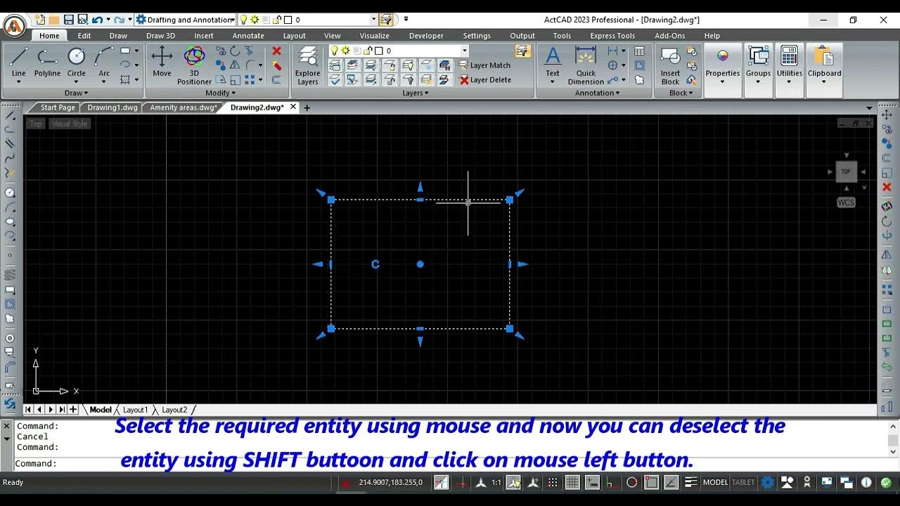 ActCAD│How to deselect entity using shift button and mouse in ActCAD