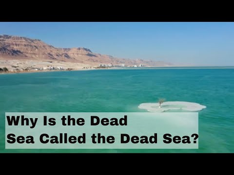 ვიდეო: შეიძლება რაიმეს ცხოვრება მკვდარ ზღვაში?
