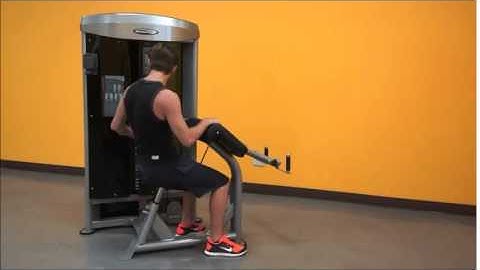 Steelflex MEGA POWER - MBC 600 Biceps Curl Machine