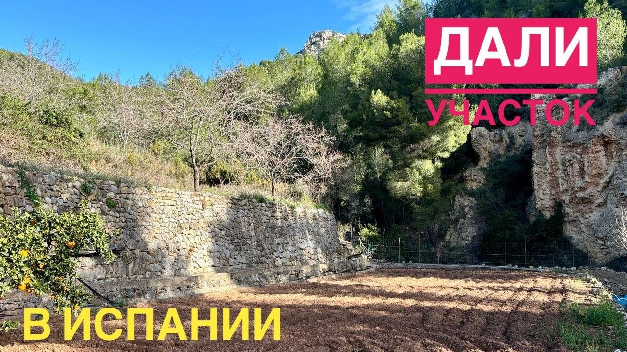 # 559 Получил Земельный Участок. Сажаю Огород В Испании
