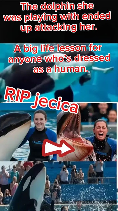 Jessica AND HER DOLPHIN     #jesica #accident #dolphins #