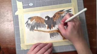 Hawk Watercolor Speedpainting