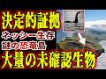 【総集編】未だ解明できない超危険なUMA 世界各地で捉えられたヤバすぎる映像…【ゆっくり解説】