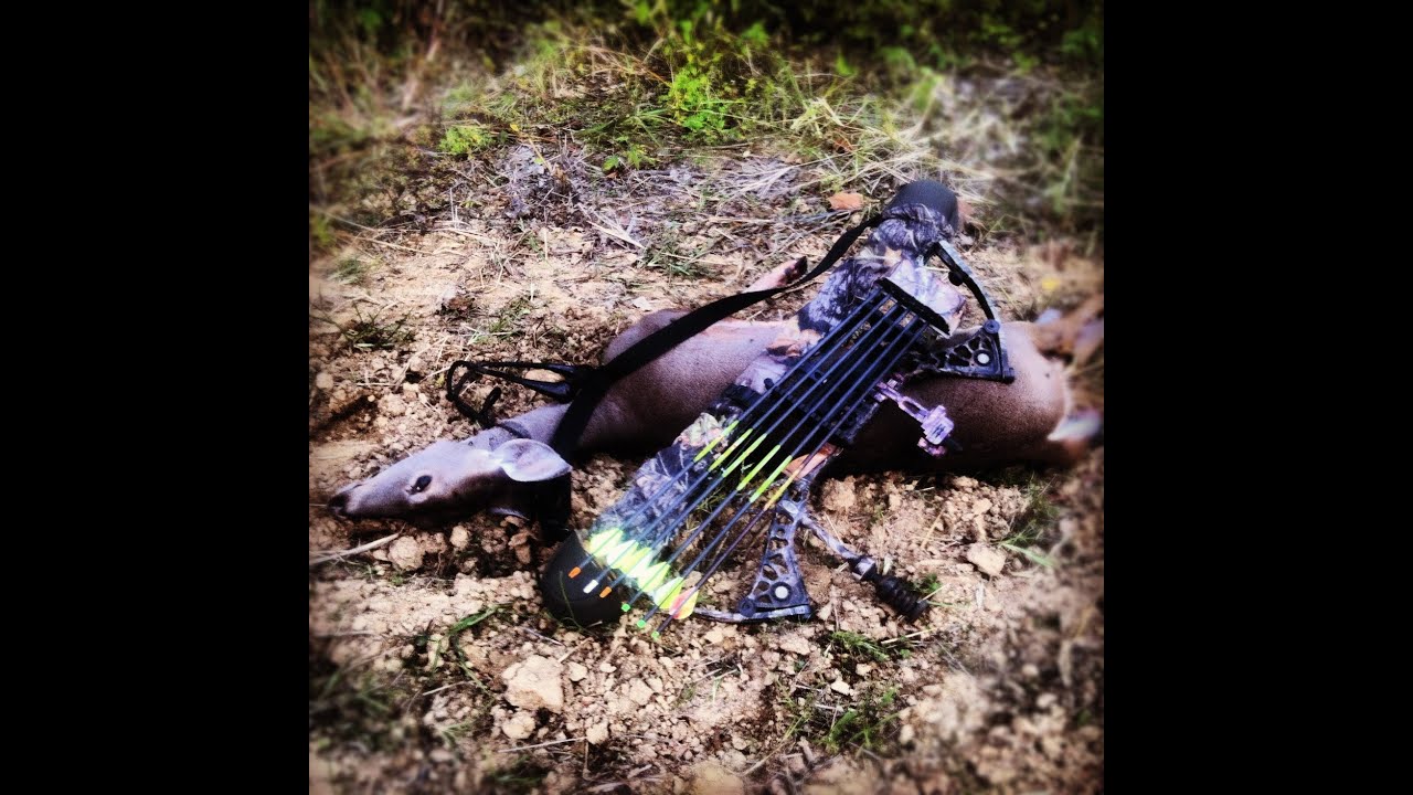 Is It Bow Season In Tennessee Is It Bow Season In Tennessee