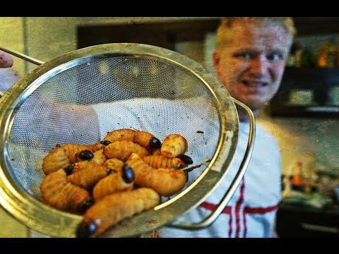 видео: Рецепт живых ЛИЧИНОК. (аппетитно!)