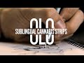 OLO FOCUS Graffiti
