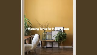 Charming Duo - Vibe for Peaceful Codas