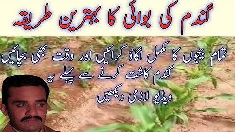 Ideal wheat seed sowing method | Benefits of Dry sowing method of wheat seed |agriculture field