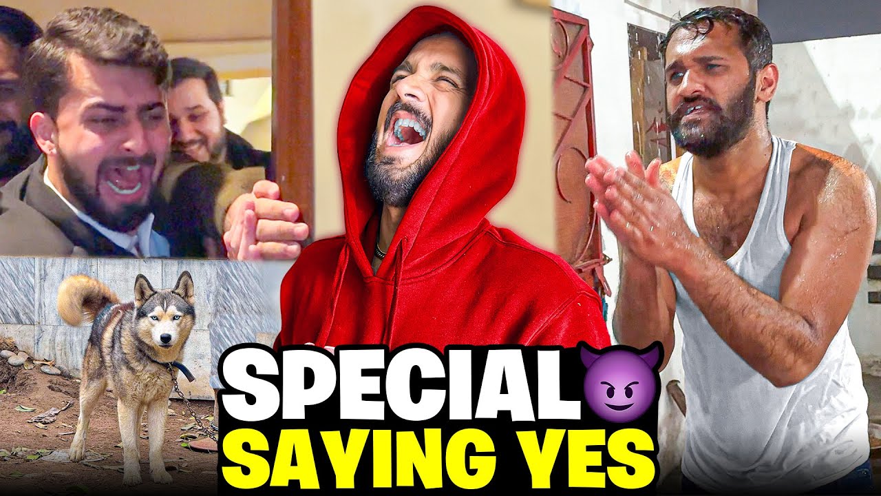 Most Awaited Haider saying yes to Rajab😱Dogar Bilawaja phas gya😂