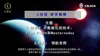 S BLOCK 大数据化的技术：Plan Flash和Masternodes