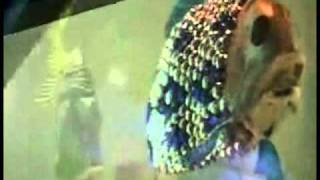 A Video of the Pollution-Monitoring Robotic Fish