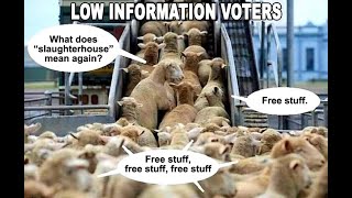 Celebrity Understanding the Times Wealth