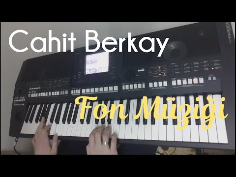 Cahit Berkay -- Hülya (Ayrılık) -- Fon Müziği -- Yamaha A2000 org ile