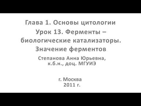 Ферменты-биокатализаторы. Видео урок