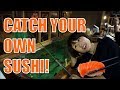 A sushi restaurant where you catch your own fish! 「ざうお」魚釣り居酒屋☆
