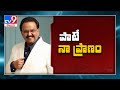 SP Balu health condition stable@ MGM hospital- ECMO visuals