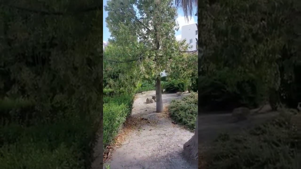 MLC-007_Con el conocimiento real, podrás discernir entre la verdad y las medias verdades.