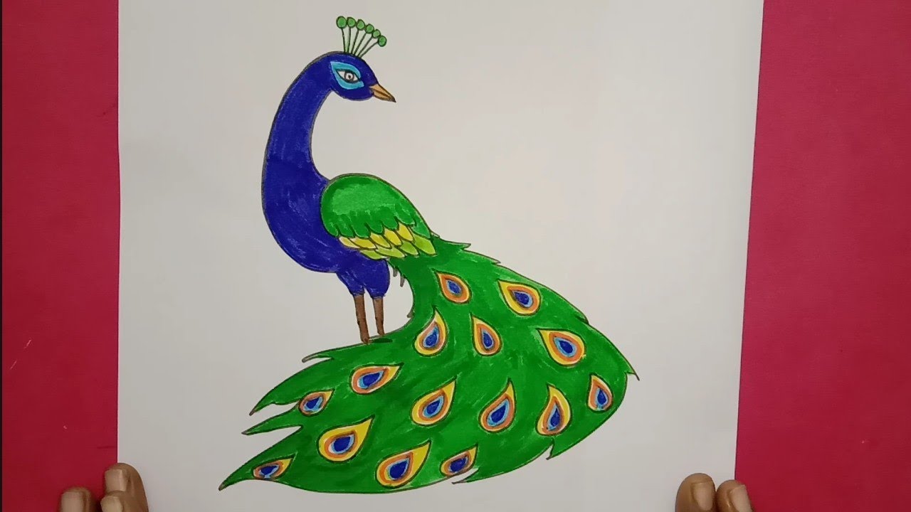 How to Draw Peacock with Beautiful Feather Design | Colour Pencil Art |  embroidery, marker pen, design, colored pencil, drawing | Today Design  about How to Draw Peacock with Beautiful Feather Design |