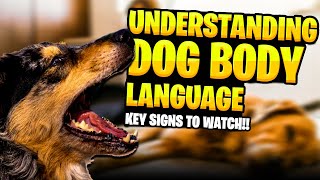 Understanding Dog Body Language Key Signs to Watch by DogTalk 16,751 views 9 months ago 6 minutes, 33 seconds
