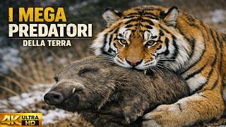 Mega Predatori della Terra: chi è il più Potente?