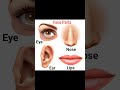 #face parts#vocabulary#learnenglish#shorts#education