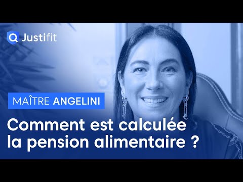 Vidéo: Comment La Pension Alimentaire Est Calculée